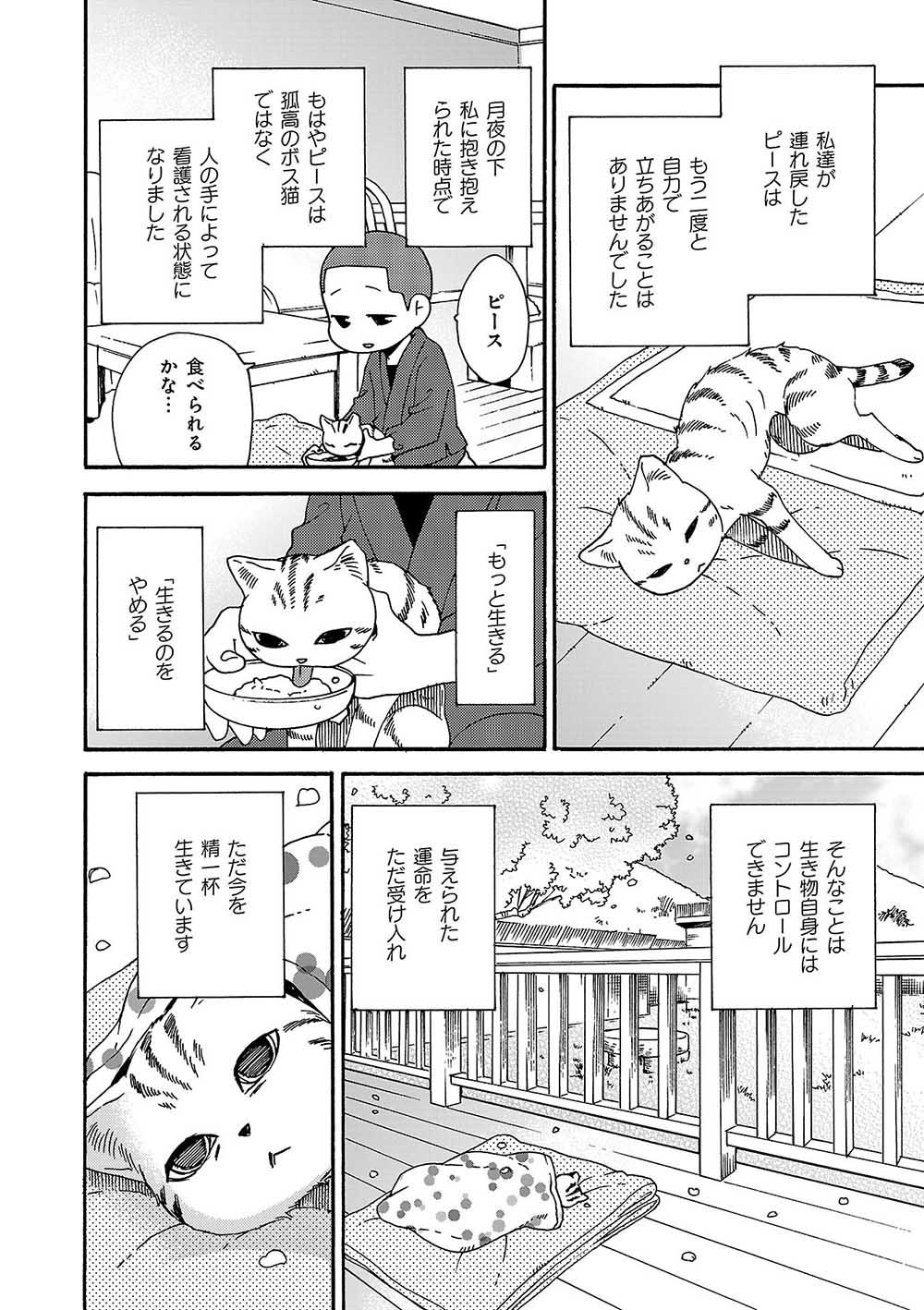 第19話「大きいピースのこと」／ペットの声が聞こえたら[マンガ無料